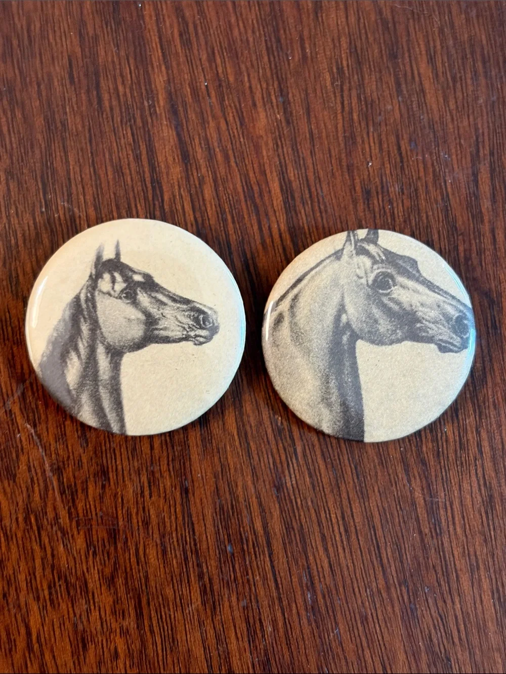 2 Horse Head Motif Buttons Badges Pins Brooches Equestrian Animal Jewelry